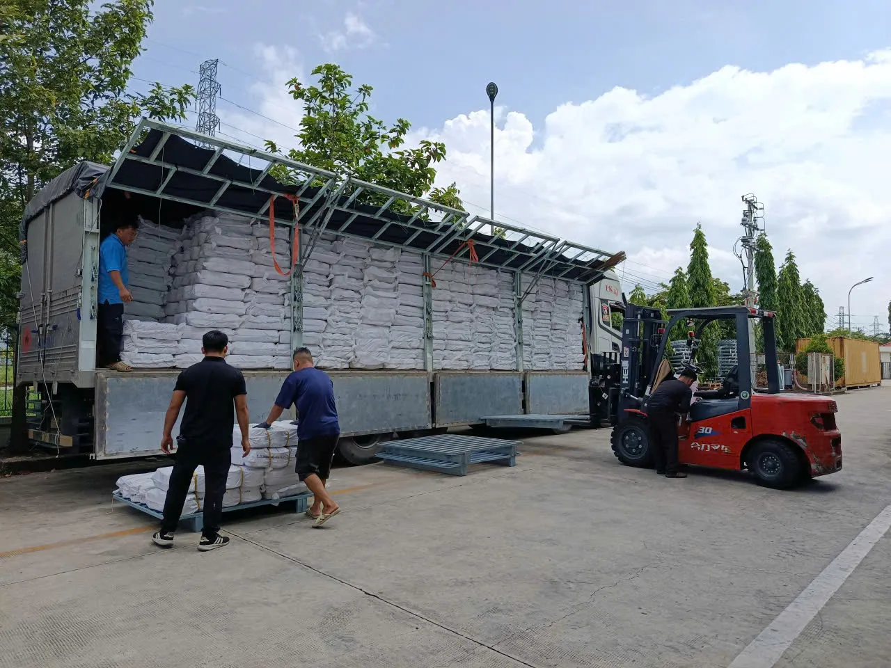 Hình ảnh hoạt động 9